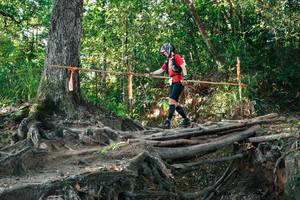 BIB: 
                            <button type="button" onclick="openModal(27548057)" class="btn btn-primary btn-sm float-right btn-popup" data-toggle="modal" data-target=".modal-high-quality">
                        <i class="fas fa-shopping-cart"></i> Add to Cart
                    </button>
                                            <button type="button" onclick="isThisMe(27548057, true)" class="btn btn-success btn-sm float-right btn-popup btn-isme hidden" data-toggle="tooltip" data-placement="bottom" title="นี่คือรูปของคุณใช่ไหม คลิกที่นี่เพื่อเอาเข้าอัลบั้ม">
                        <i class="fas fa-plus"></i> Add to album
                    </button>
                    <button type="button" onclick="isThisMe(27548057, false)" class="btn btn-warning btn-sm float-right btn-popup btn-isnotme hidden">
                        <i class="fas fa-ban"></i> Remove from album
                    </button>